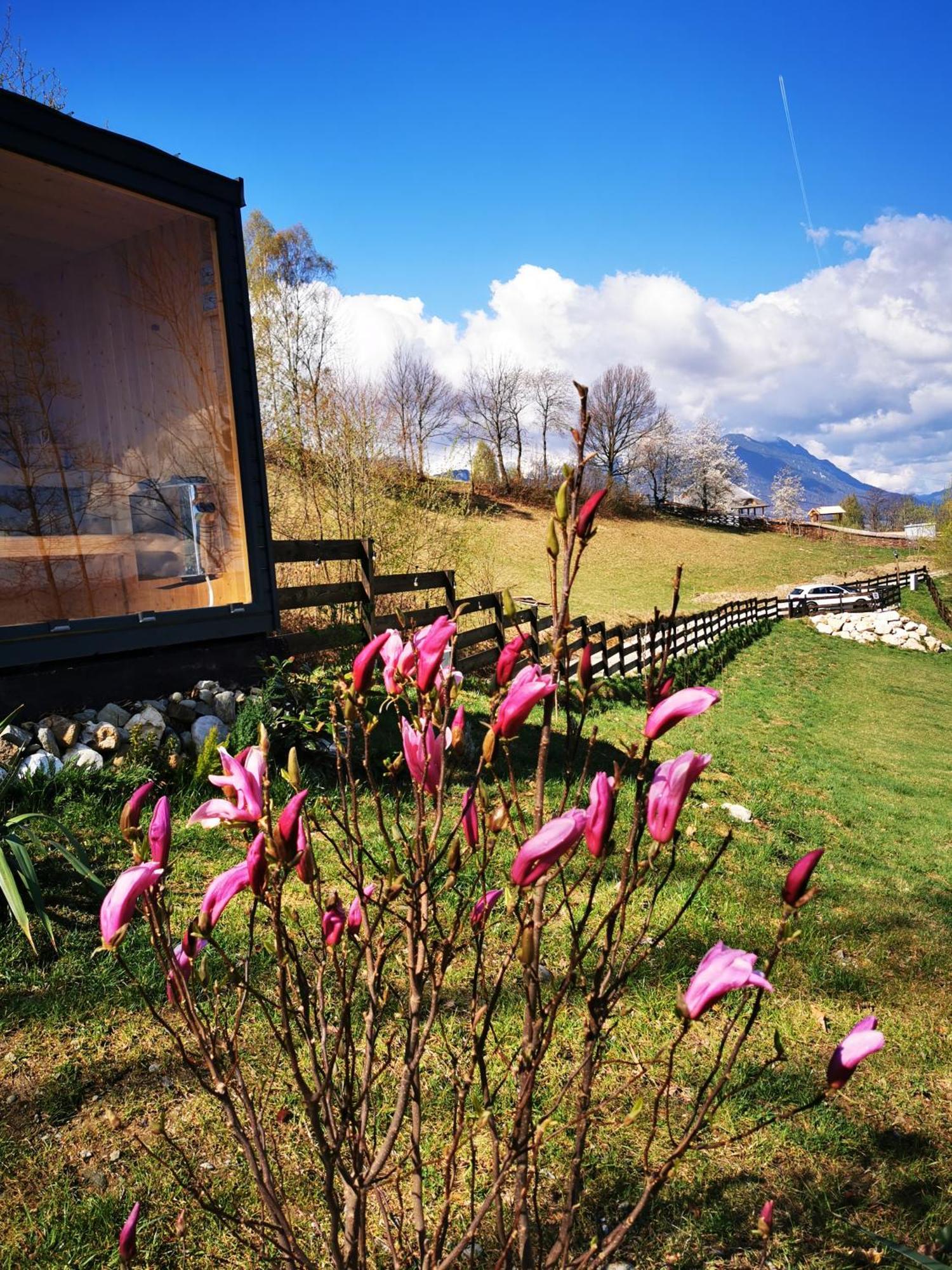 Doza De Verde Retreat&Spa Bran-Adults Only Sohodol  Buitenkant foto